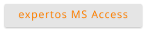 expertos MS Access