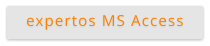 expertos MS Access
