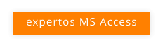 expertos MS Access