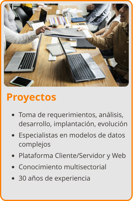 Proyectos •	Toma de requerimientos, análisis, desarrollo, implantación, evolución •	Especialistas en modelos de datos complejos •	Plataforma Cliente/Servidor y Web •	Conocimiento multisectorial •	30 años de experiencia